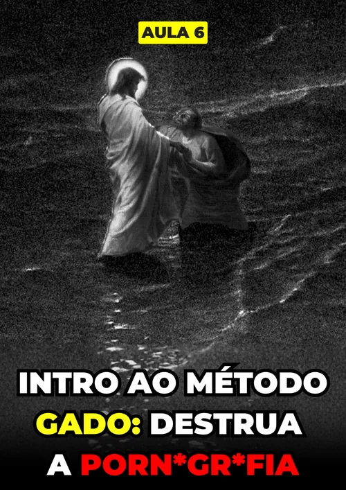 vencer-aula06.webp