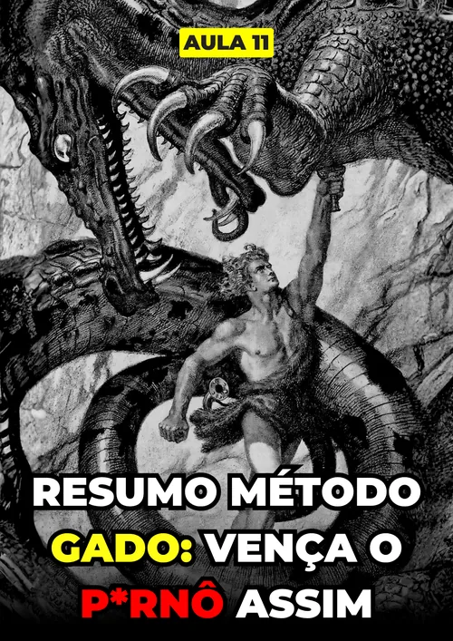 vencer-aula11.webp